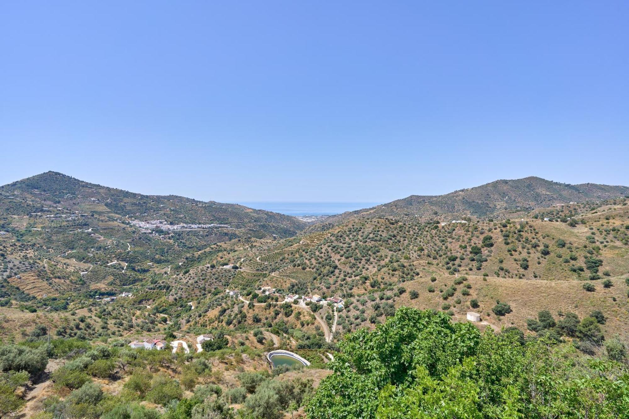 فيلا Cortijo La Encina Sayalonga المظهر الخارجي الصورة
